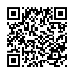 就连大房的四个哥哥都给喊过来了二维码生成