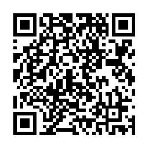 就连始母虫他们也对离天界主的举动感到惊讶不已二维码生成