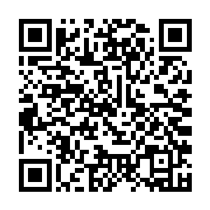 就连攀结的男朋友一个是市委常委政法委书记的儿子二维码生成