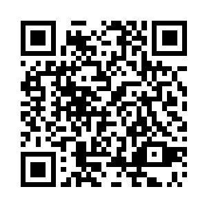 就连梦公司的内部人员也无法提供这项数据二维码生成