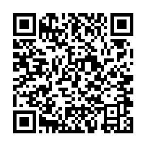 就连那些无名的水晶果他都酿了一份酒想要看看效果二维码生成