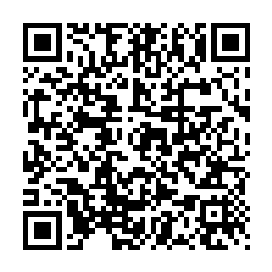 就连龙傲天身上有护身的法宝都不敢轻易的抵抗的这种程度的冲击力二维码生成