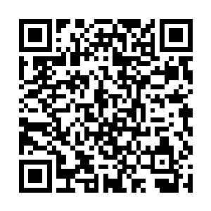 就那么摆放在那里得手机就那么一直保持着待机状态二维码生成