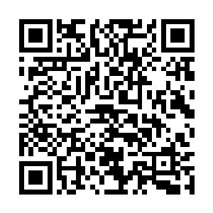 就那样不移不动死盯着石门正中央位置那不少小孔二维码生成