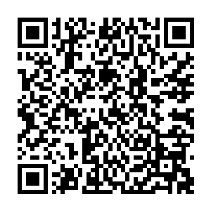 尼古拉斯凯奇那家伙刚刚才得意洋洋地告诉我他用恐惧疗法治好了你的怕狗症二维码生成