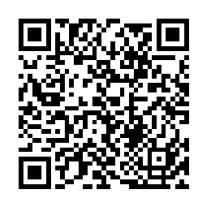 尽管李谦和齐洁都能够明白此时那帮记者们的兴奋二维码生成