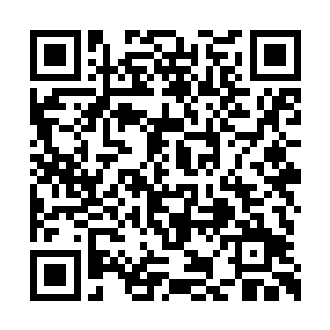 居然与杀害谭君昊谭长老和武鸣武执事一事有关二维码生成