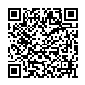 居然只拥有着两个蓝色晶体能量的晶体粒子存在二维码生成