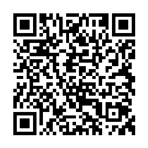 居然在回来的路上把身无分文的他丢在了高速上二维码生成