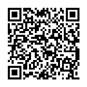 居然就这么巧合的遇到了妖魔一直没找到的遗迹二维码生成