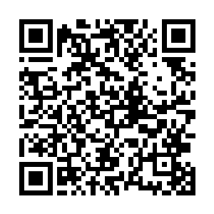 居然把咱们九仙宫的至宝五行氤氲针糊里糊涂的交给了他二维码生成