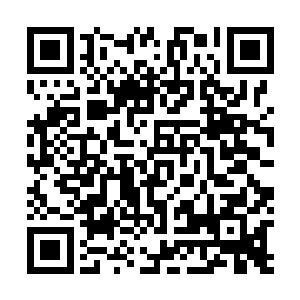 居然是没有一个人敢冲到峡谷里和天共探险队决一死战了二维码生成