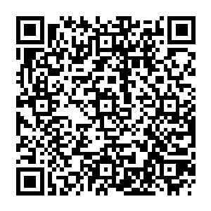 居然还布下了这么狠辣的禁制……这根本就没打算让海神的后裔再重现祖先的辉煌啊二维码生成