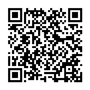 居然连使用什么治疗物品最合适都探索得七七八八二维码生成