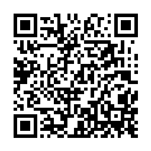 属于第一区域的赫拉迪姆禁器一直都在罗格营地之中二维码生成