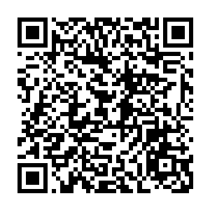 屠峰等人将自己这段时间修炼的心得和从梦无涯那里得来的经验倾囊相授二维码生成
