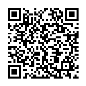 屠户还有酒楼的人可是深知烹饪得当的野猪肉的美味的二维码生成