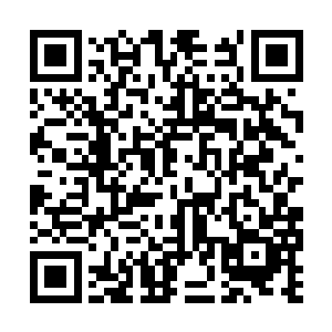 岑建民把这样一个艰难的选择交到了岑宇昊的手里二维码生成