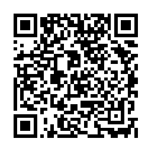 岚盟的基本架构在某人离开之前就已经构建完毕二维码生成