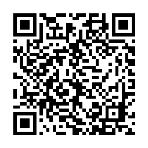 岩洞四壁出现若隐若现的荧光闪动现象不一会便消失了二维码生成