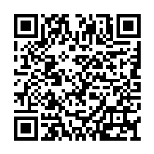 巅峰时期就是比起国服第一打野厂长都不遑多让二维码生成