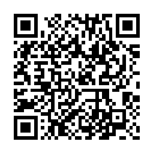 左侧的年轻人脸上露出一副一点也不意外的神色二维码生成