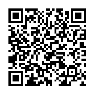 巨牌前方悬浮着一颗背白对半的半透明正八面体神格雏形二维码生成