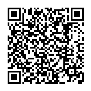 巨神族人立刻呼啦一下又是全部退出七八十米外然后纷纷找大树掩护藏身二维码生成