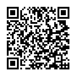 巨神族基本倾巢出动已是挖掘刨出百余块大小不一的圣石二维码生成