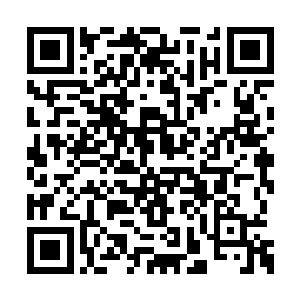 巨藤原本还想着求许紫烟允许他一直跟随许紫烟二维码生成