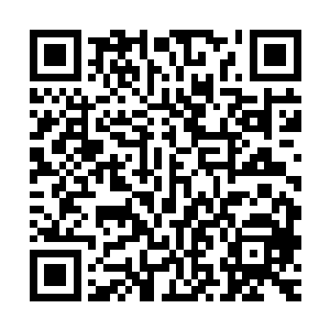 差不多整个定王府都知道了有一个姑娘追着喊着要嫁给清尘公子二维码生成