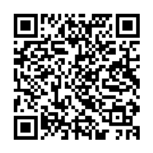 差不多青山度假村这边很快就会成为影响力惊人的钓鱼圣地了二维码生成