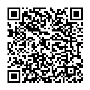 已是将这身体所有的信息条件通过意识传递传回给在炎阳界的本体二维码生成
