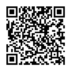 已经不知有多少万年没有经历过如此惨重的损失了二维码生成