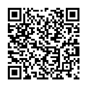 已经不能用简简单单的学校关系来衡量他的决定了二维码生成