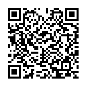 已经出现在百里之外地下一座宫殿前的魏伤脸上露出了一丝笑容二维码生成