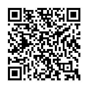 已经到了恨不得可以割肉给这小孙子吃的地步了二维码生成