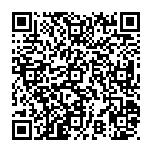 已经在政府机关里边沉浮多年的顾天来很清楚现在的陆为民已经不是昔日大学时代的陆为民二维码生成
