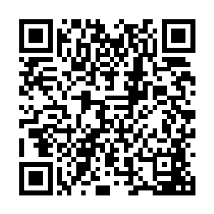 已经将苗毅围住的狼群中猛然从三个方向蹿来三只二维码生成