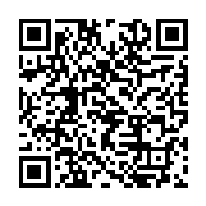 已经带着他们几百年搜刮来的民脂民膏扬长而去了二维码生成