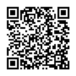 已经开始对荒州上所有在神王境之下的小辈进行血液检测二维码生成
