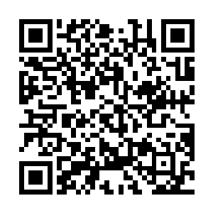 已经成功在意大利黑手党家族中树立了不可抵抗的威望二维码生成