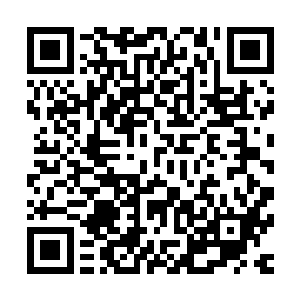 已经把这座不大的灰石山头里三层外三层的包围了个严严实实二维码生成