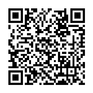 已经整理好行李的军校新生们一脸兴奋地走下飞船二维码生成