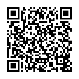 已经有不下五十封拜帖竹简送到了木宛如的手中二维码生成