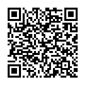 已经翻了30倍……宝镜自觉已经将以小博大发挥到了最佳状态二维码生成