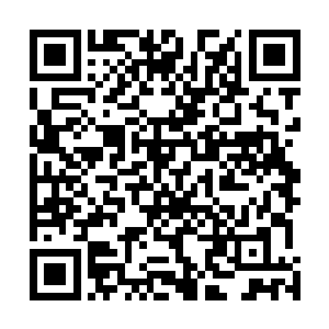 已经获得了离开战锄会的金雕们这会儿却没了之前的喜色二维码生成