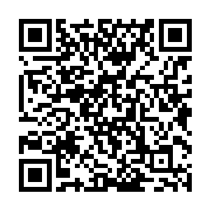 已经融会贯通了太玄宗所有的炼气期境界的基础功法二维码生成