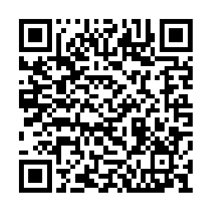 已经过了半个月的开花期冰雪莲却依旧纹丝不动二维码生成