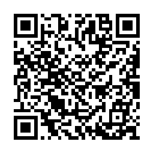 巴克嘿嘿一声已经跳下围墙离开林东看见的视线二维码生成